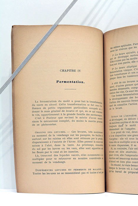 La vinification. L'art de faire du bon Vin. Première édition.