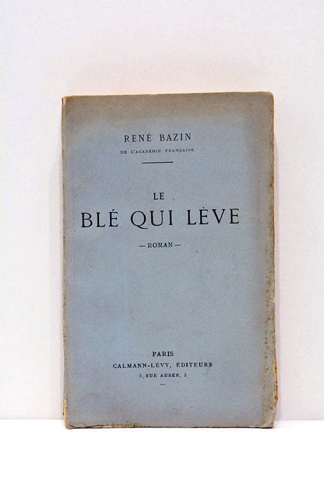 Le blé qui lève.