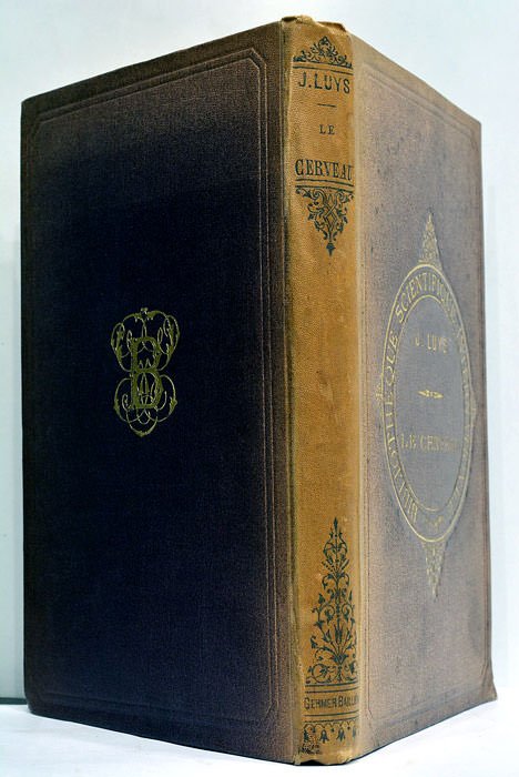 Le Cerveau et ses Fonctions.