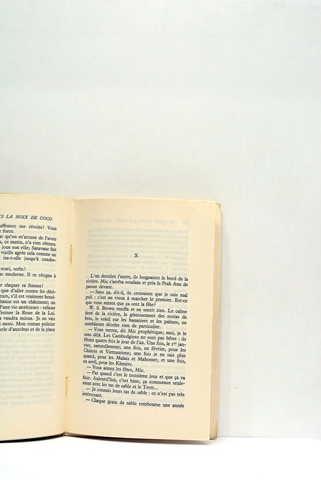 Le chat dans la noix de Coco. Roman.