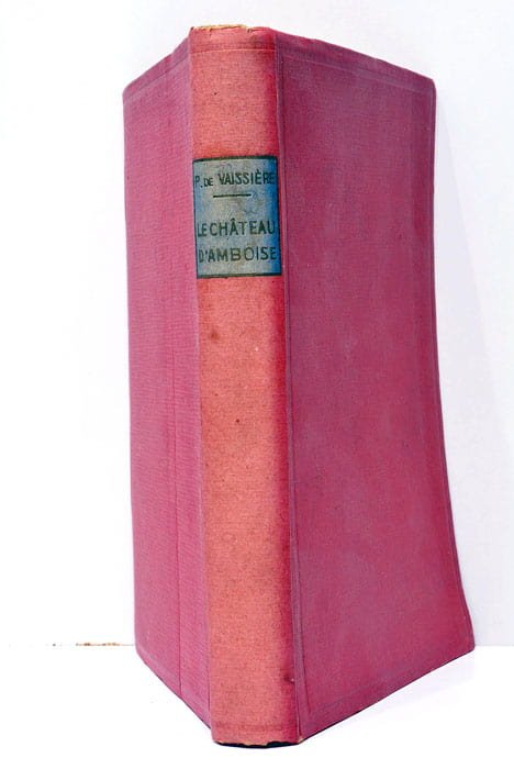 Le Château d'Amboise.