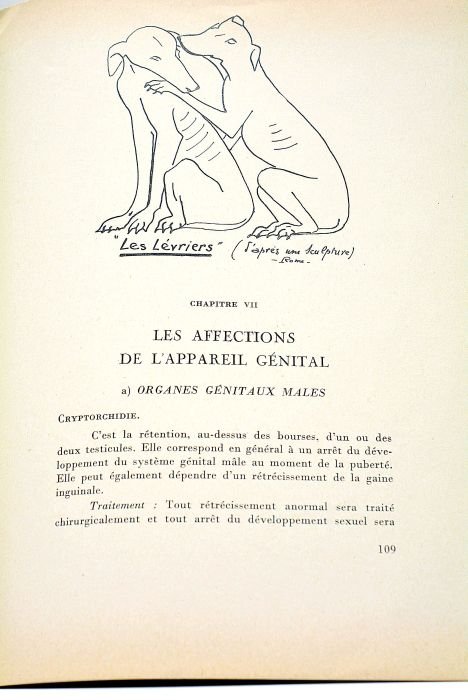 Le chien et sa médecine. Illustrations de l'auteur.
