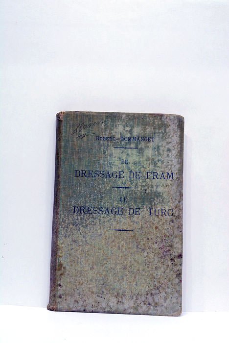 Le dressage de Fram, chien d'arrêt. Le dressage de Turc, …