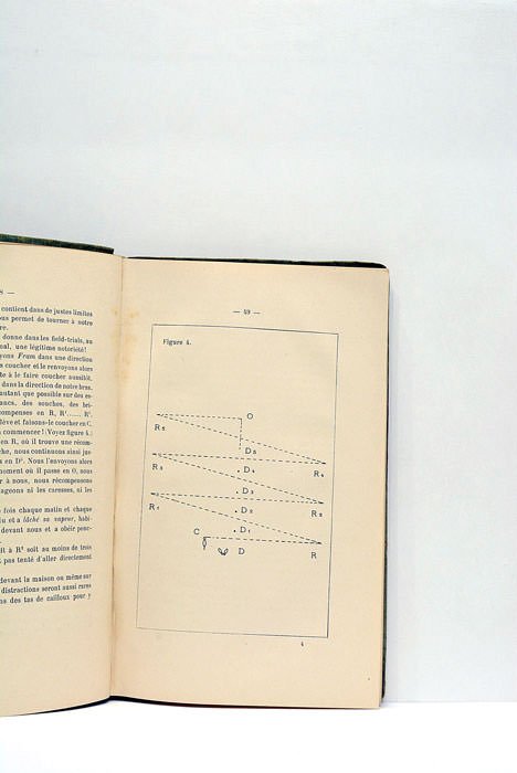 Le dressage de Fram, chien d'arrêt. Le dressage de Turc, …