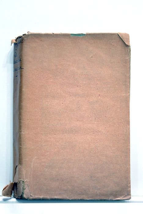 Le Duc de Lauzun et la cour de Marie-Antoinette.