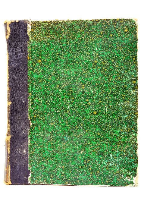 Le livre de la jungle.