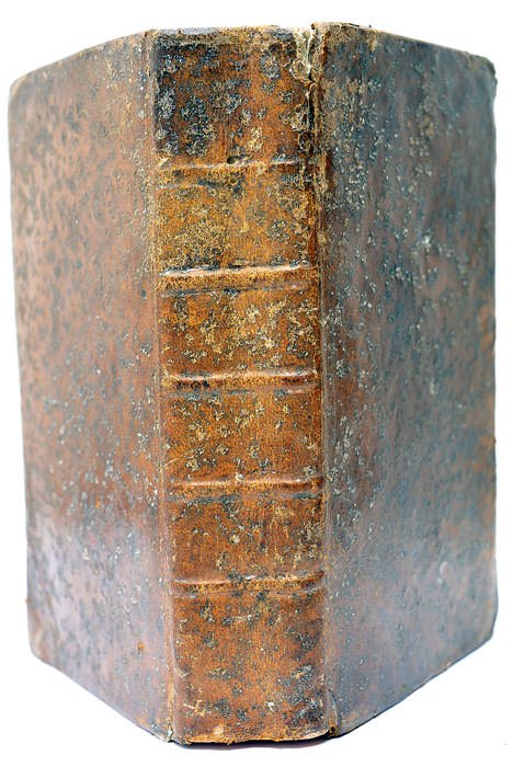 Le Petit Behourt, ou le Nouveau Despautere, contenant les Fondemens …