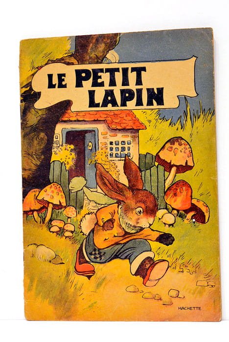 LE PETIT lapin.