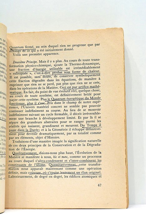 Le phénomène humain.