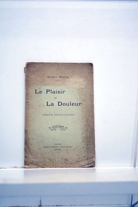 Le plaisir et la douleur. Théorie physiologique.