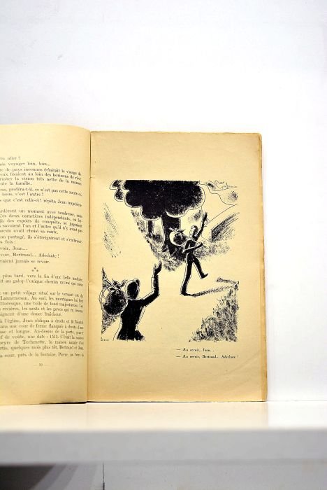 Le plaisir et la douleur. Théorie physiologique.