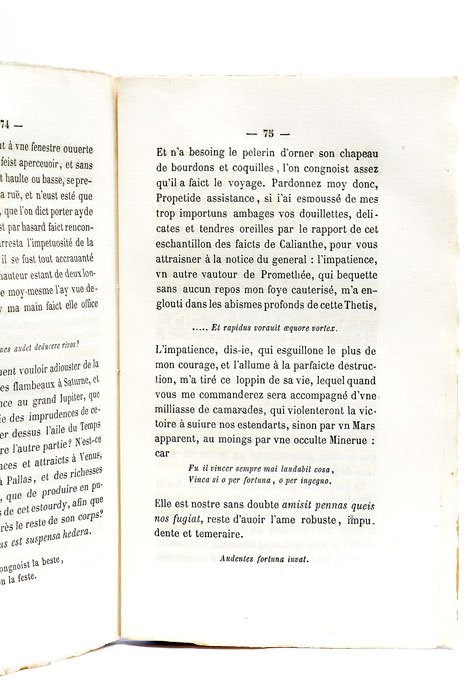 Le Premier Acte du Synode Nocturne des Tribades, Lemanes, Unelmanes, …