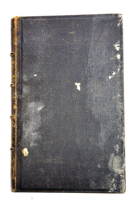 Le R. P. H.-F. Lacordaire de l'ordre des frères prêcheurs. …