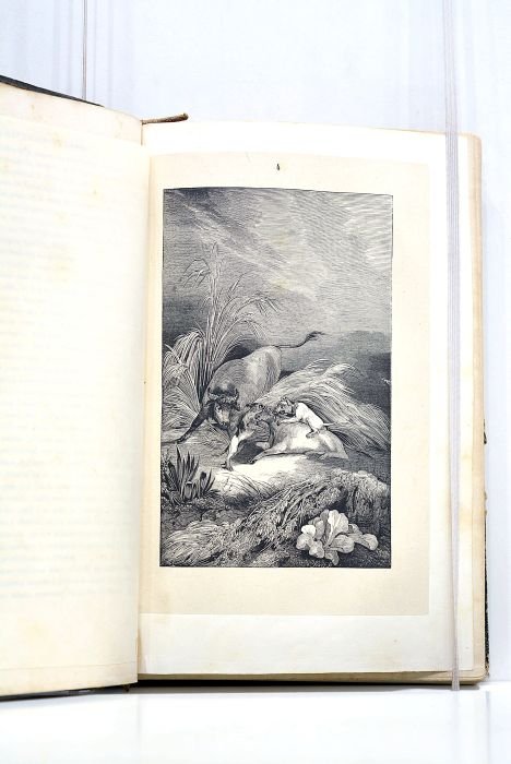 Le Robinson suisse. Traduit de l'allemand par Mme. Elise Voiart. …