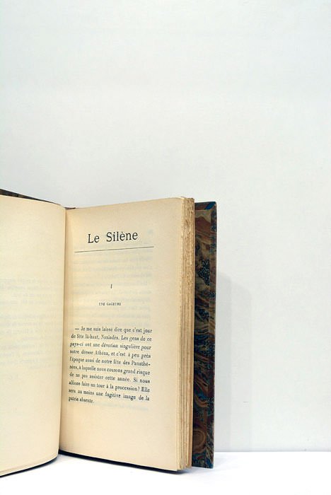 Le Silène. Roman.