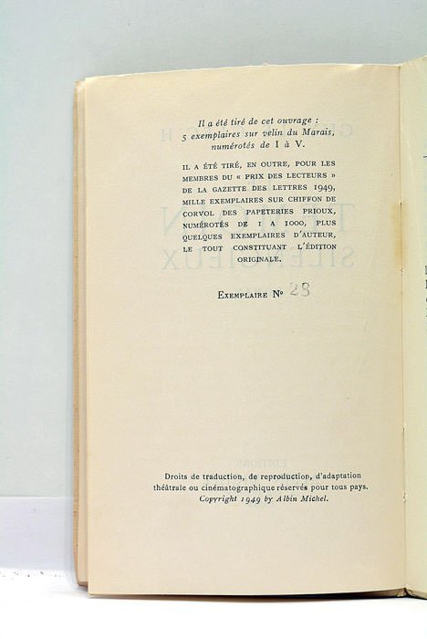Le témoin silencieux. Roman.