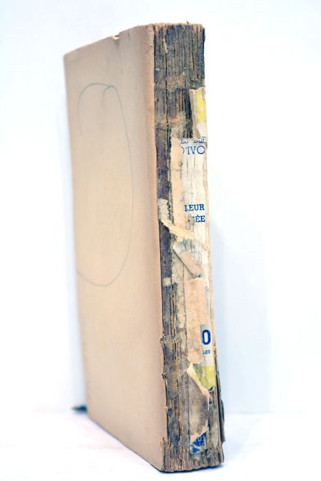 Le voleur de pensée.