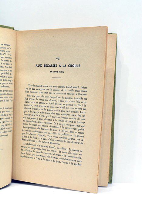 Leçons de chasse a tir sur le terrain.