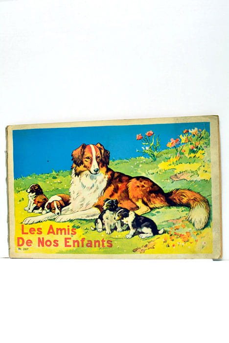 LES AMIS de nos enfants.