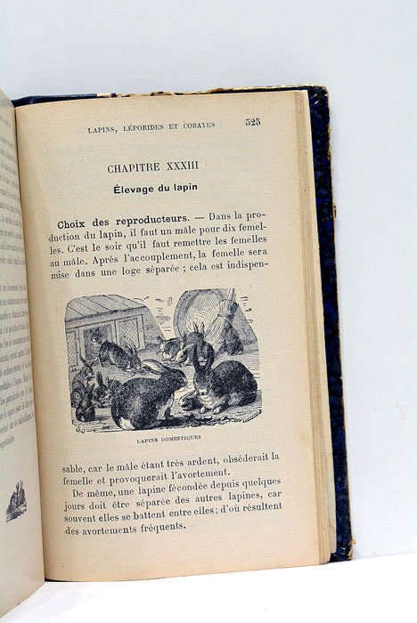 Les Animaux de Basse-cour. Élevage des poules et coqs, dindons, …