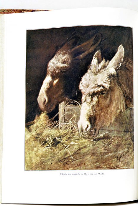 Les Animaux domestiques. Leurs moeurs, leur intelligence, leur utilisation et …