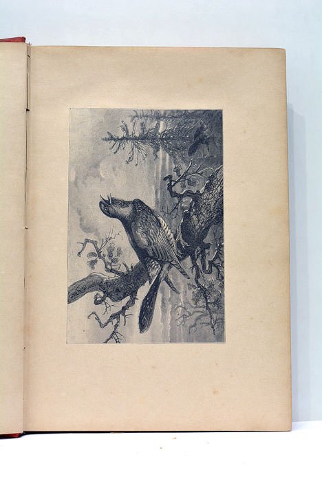 Les bêtes en robe de chambre. Ouvrage illustré de nombreuses …