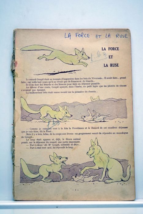 Les contes du renard blanc.