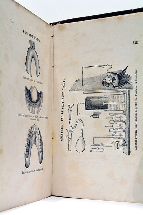 Les Dents. Traité Pratique des Maladies de ces Organes. Dentition. …
