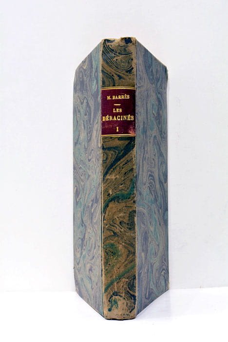 Les Déracinés. Tome I.