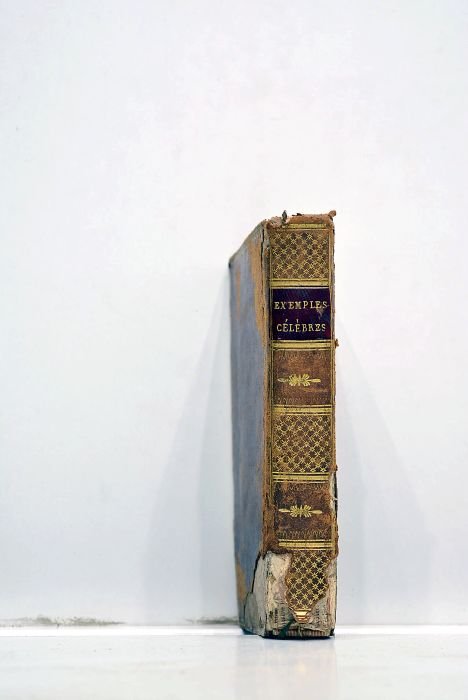 Les exemples célèbres ou nouveau choix de faits historiques et …