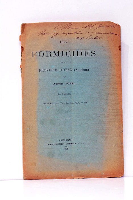 Les formicidés de la province d'Oran (Algérie).