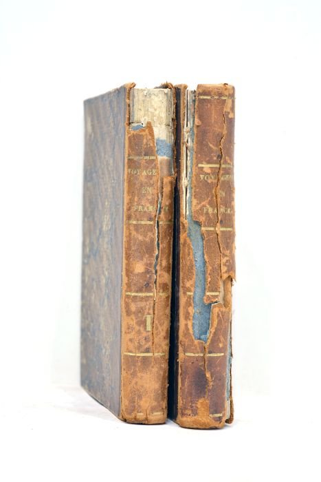 Les jeunes voyageurs en France, ou Lettres sur les départements; …