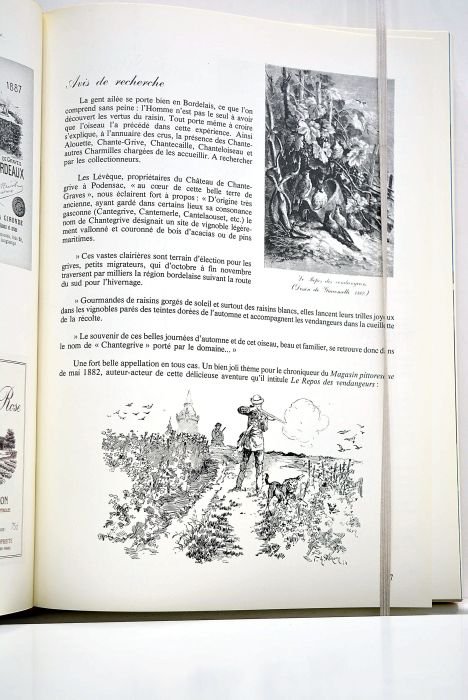 Les mémoires du Bordeaux. Aquarelles originales de l'auteur.