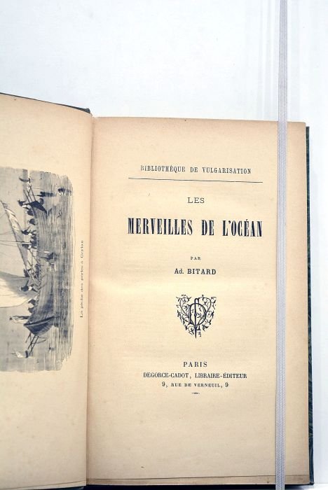 Les merveilles de l'océan.