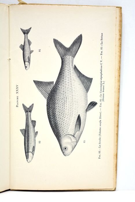 Les poissons des eaux douces de la France. Manuel descriptif …