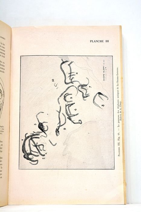 Les Premiers Hommes. Précis d'Anthropologie Préhistorique. Deuxième édition.