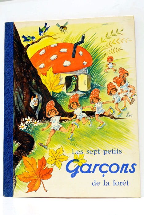 Les Sept petits garçons de la forêt.