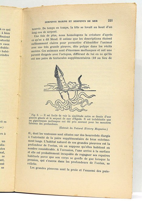 Les serpents. Crotales. Vipères. Serpents mangeurs de serpents. Serpents arboricoles. …