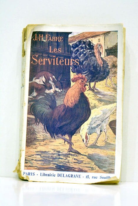 Les Serviteurs. Récits de l'oncle Paul sur les animaux domestiques.