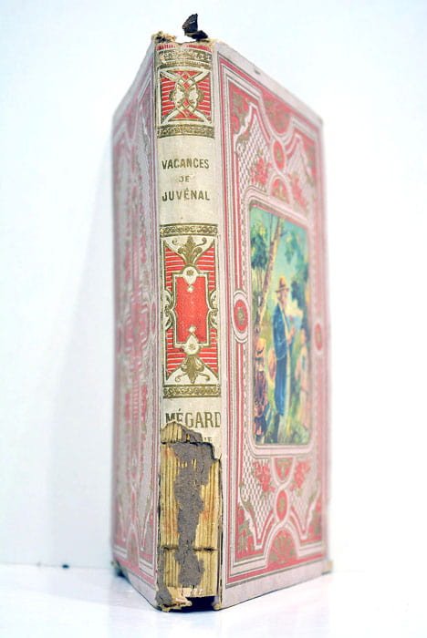 Les vacances de Juvénal. Excursions au jardin des plantes.