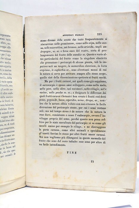 Lezioni di Botanica Comparata.