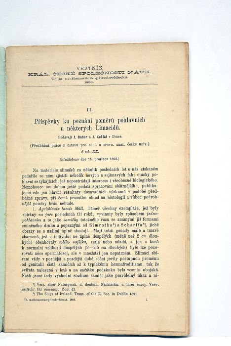 Li príspevky ku poznáni pomeru pohlavních u nekterých Limacidu.