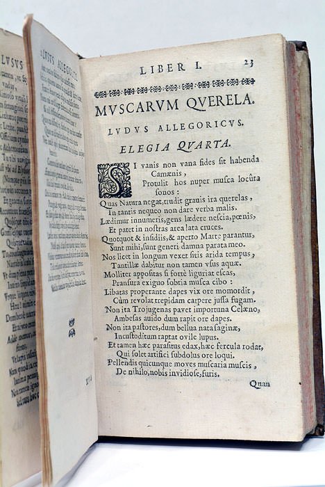 Lusus Poetici Allegorici, sive Elegiae Oblectandis, animis et modibus informandis …