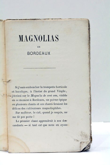 MAGNOLIAS DE BORDEAUX. HISTOIRE PITTORESQUE DEVANT SERVIR À L'ENSEIGNEMENT DES …