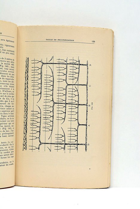 Manuel d'Arboriculture fruitière. Composition des jardins fruitiers, potagers-fruitiers d'amateurs et …