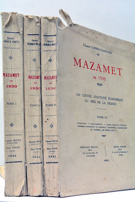 Mazamet en 1930. Un centre d'activité économique du Midi de …