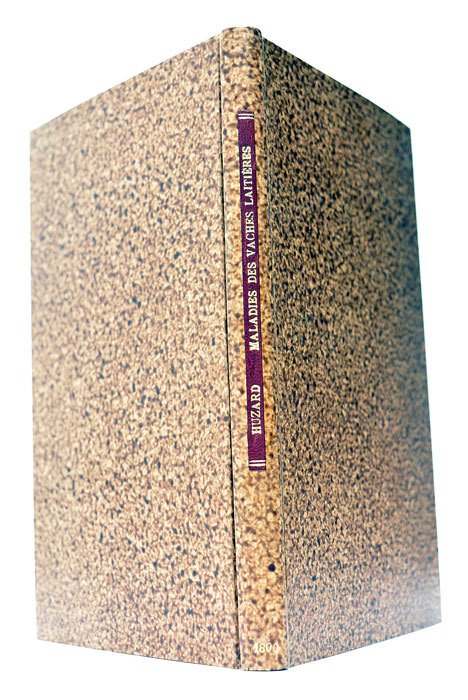 Mémoire sur la péripneumonie chronique ou Phthisie Pulmonaire qui affecte …