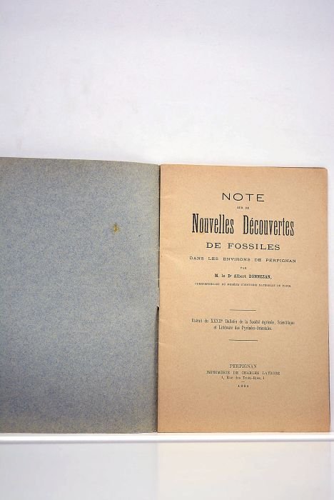 Note sur de nouvelles découvertes de fossiles dans les environs …