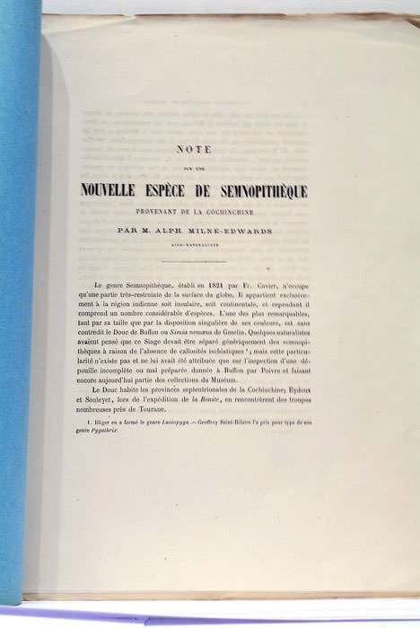 Note sur une nouvelle espèce de semnopitheque provenant de la …