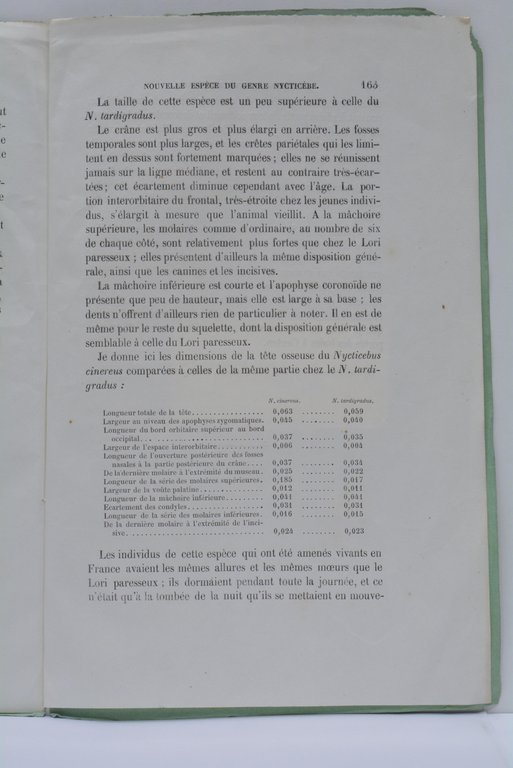 Note sur une nouvelle espèce du genre Nycticèbe provenant de …